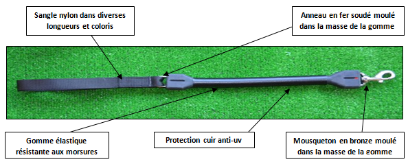 laisse - Laisse anti à-coups Shema-fr
