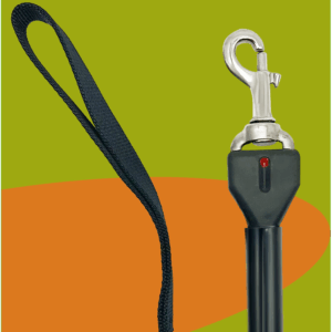 Guinzaglio Educativo