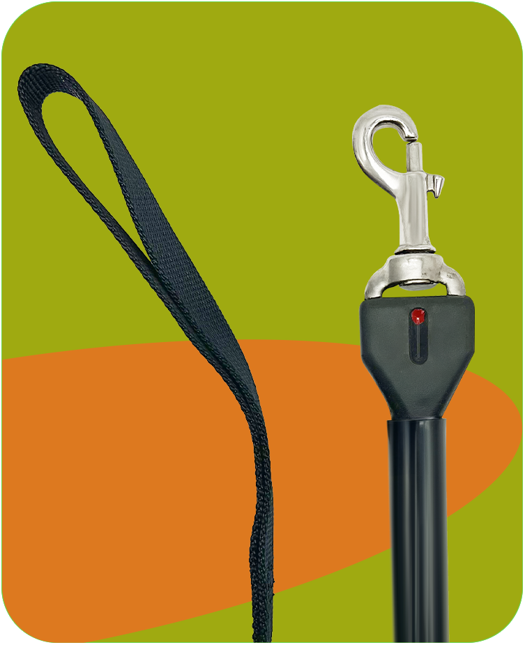 Guinzaglio Educativo